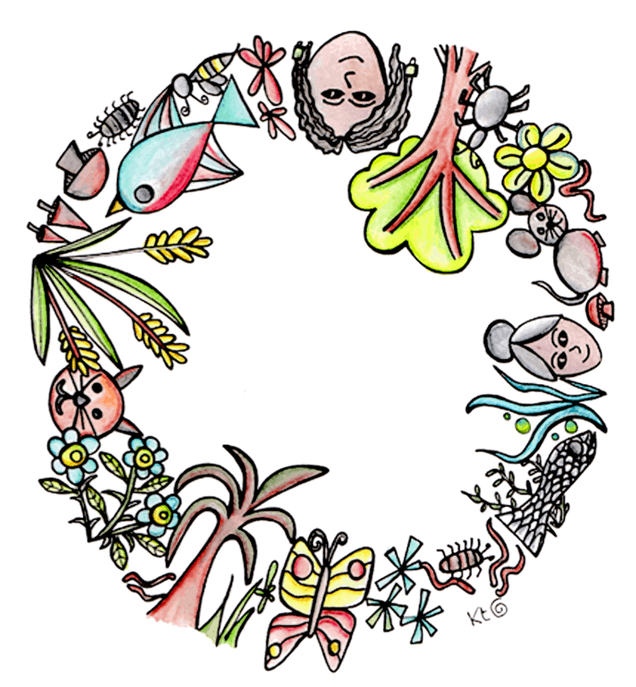 symbiosis illustration Katie Shepherd