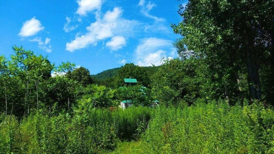 organic farm in Vermont with permaculture structure