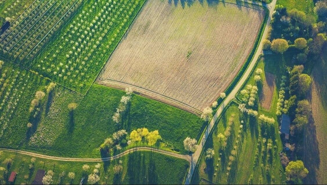 aerial view of farmland