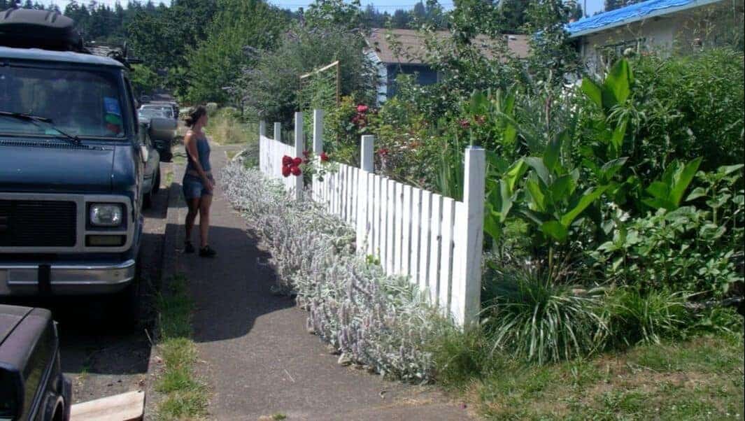 imgp2823 2 woman with white picket fence food not lawns garden