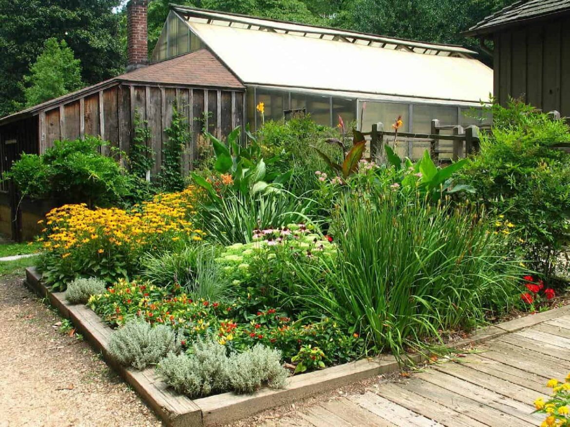 front yard garden beautiful garden bed of ornamentals, flowers and herbs in front of greenhouse