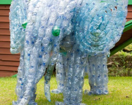 elephant made out of plastic bottles