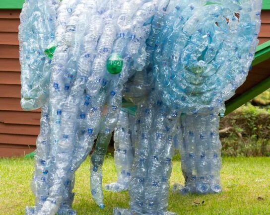 Depositphotos 9383263 s 2019 elephant made out of plastic bottles