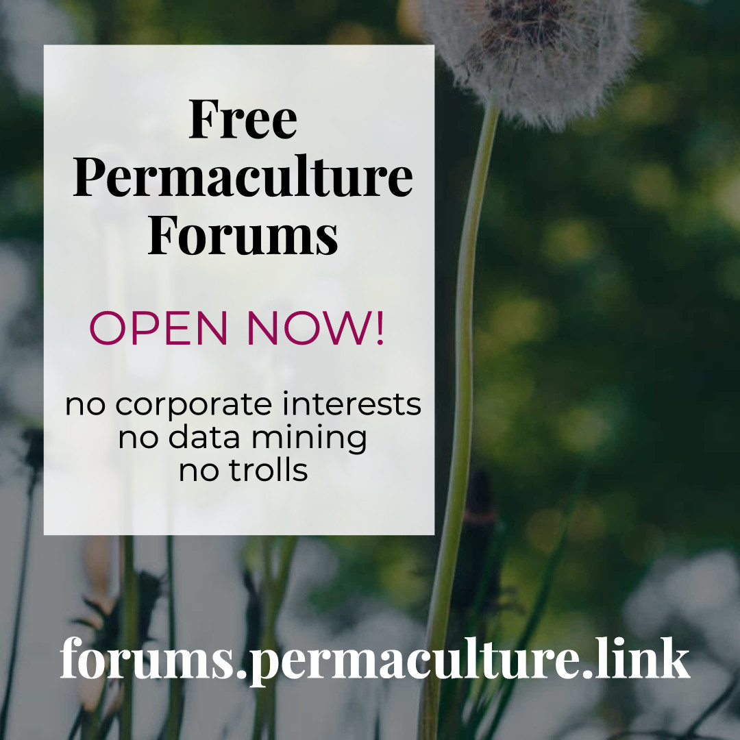 forums forums