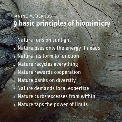 9 principles of Biomimicry